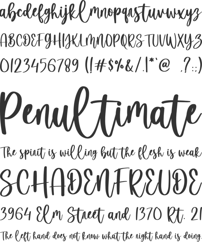 Molly Earth font preview