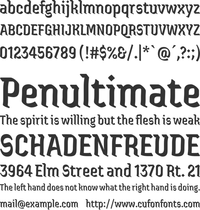 Jaini font preview