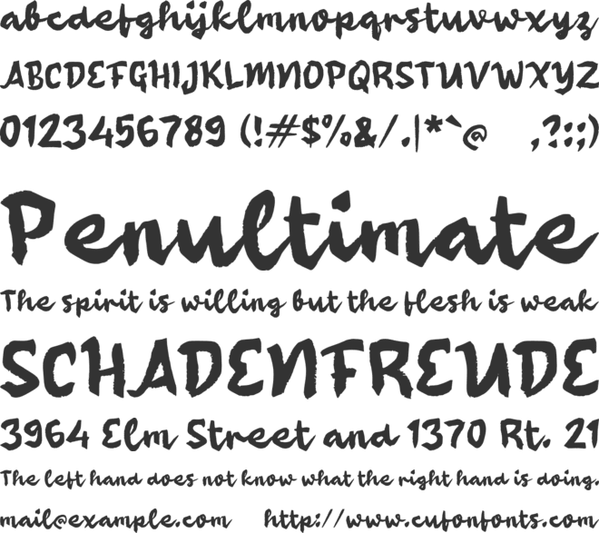 Qaakey Brush font preview