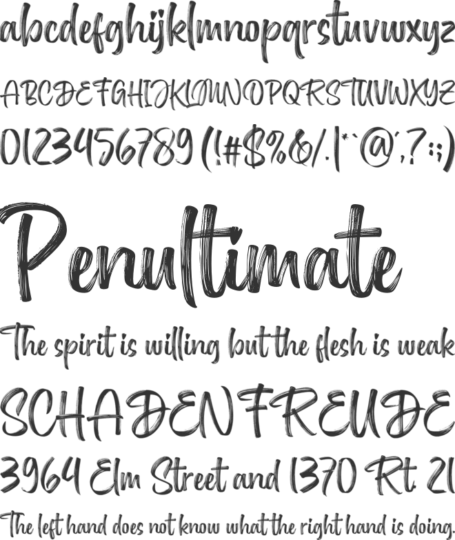 Delighter font preview