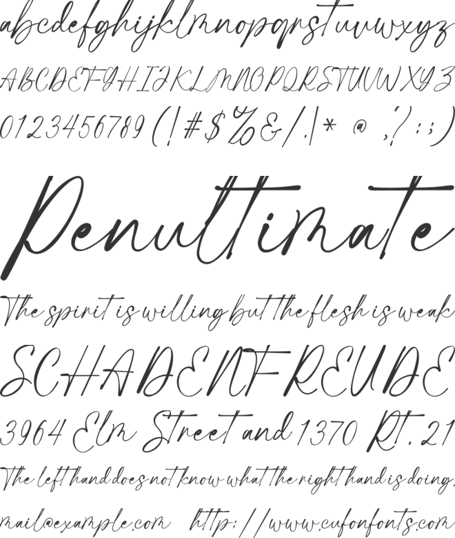 Rochetha Signature font preview