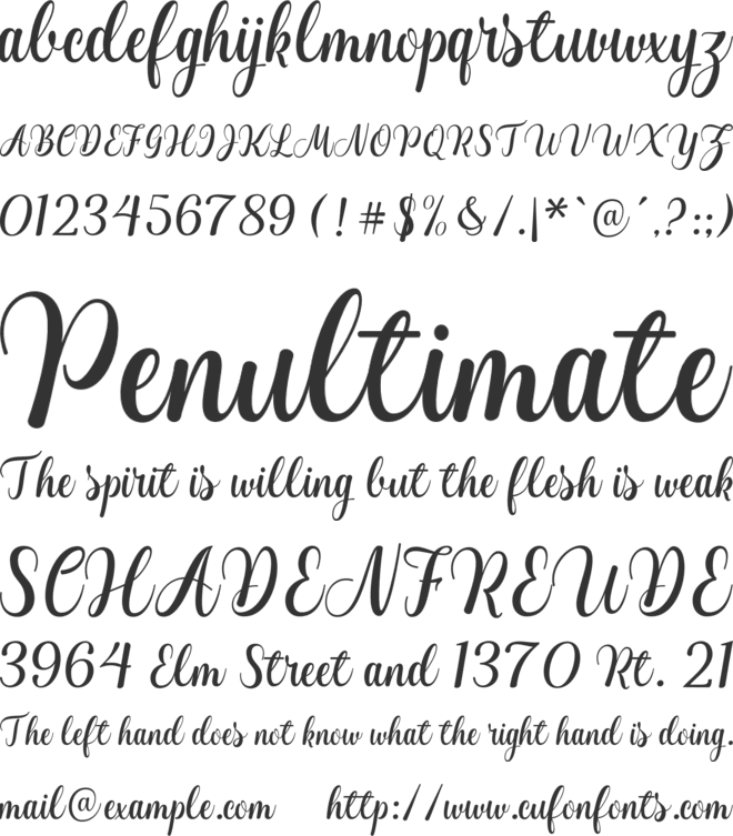 Devotion Love font preview