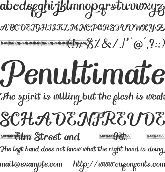 Bernady Neulion font preview