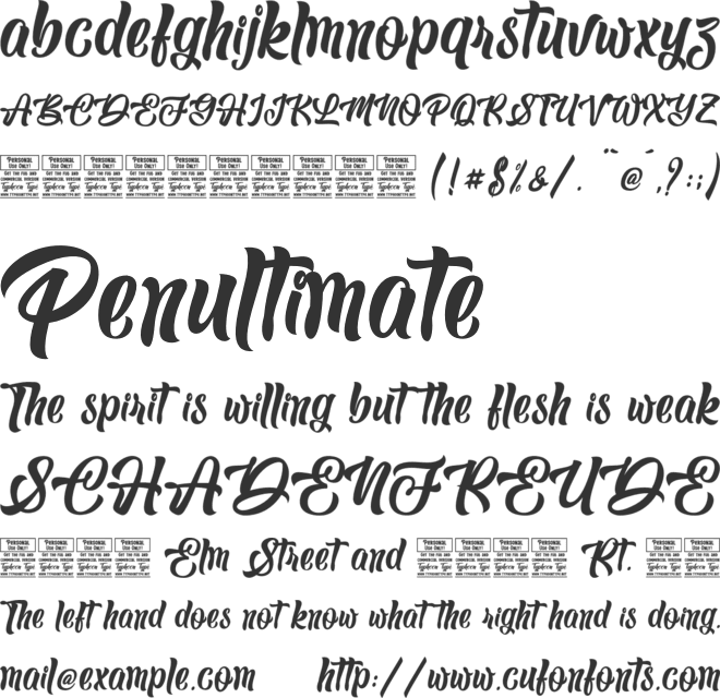 Silver Christmas - Personal Use font preview