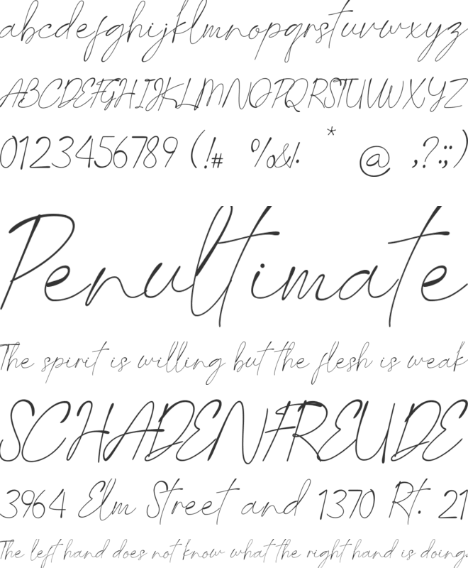 Last Signature font preview