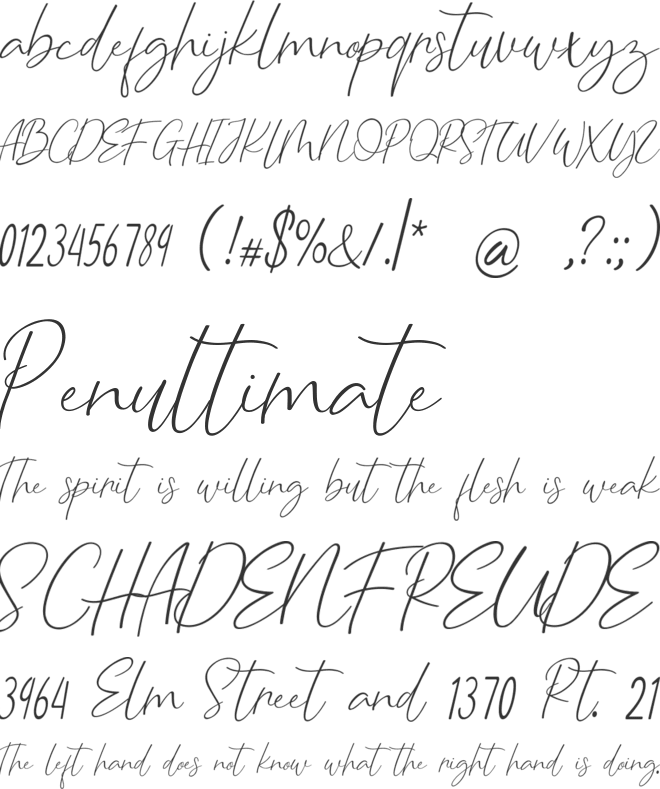 CaralanceSignature font preview