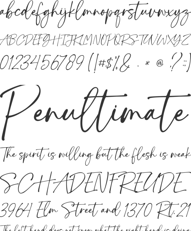 Santa Catalina font preview