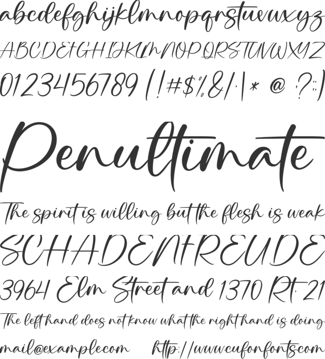 Skating font preview