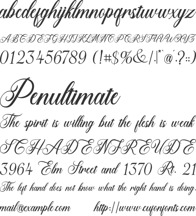 Scriptis Bridgestown font preview