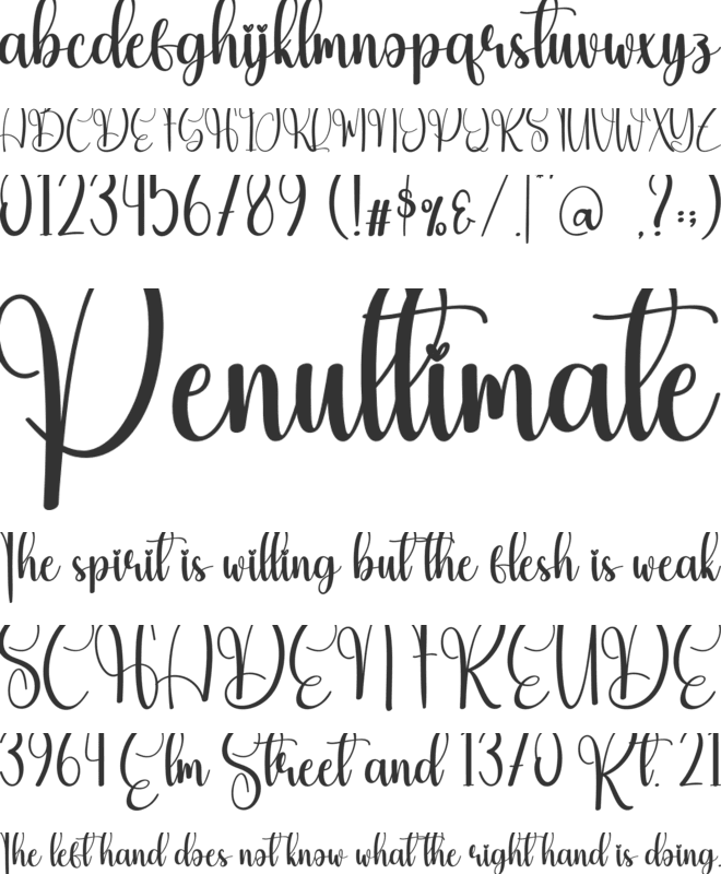 Boninter font preview