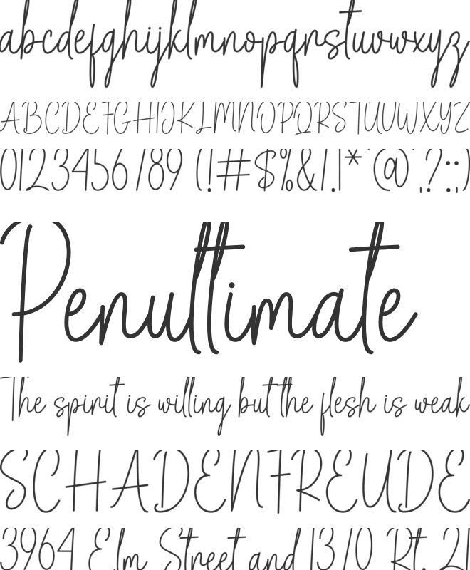 Bellinda Script font preview