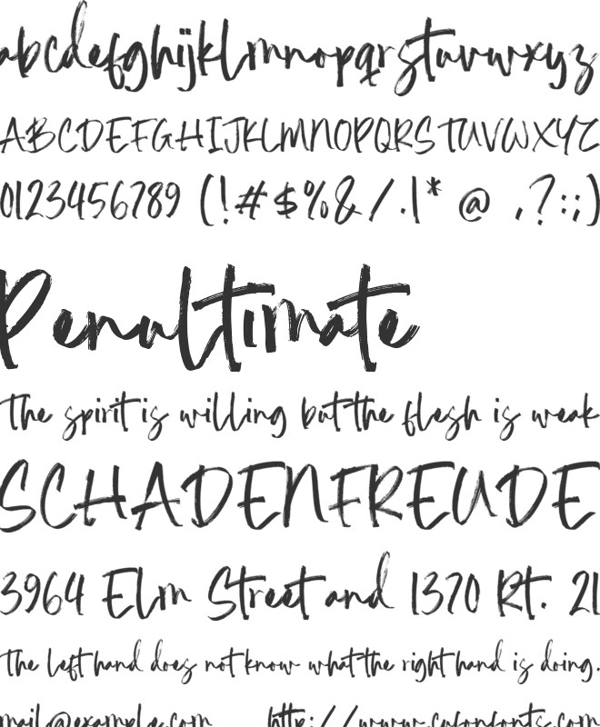 Pattie Jayden font preview