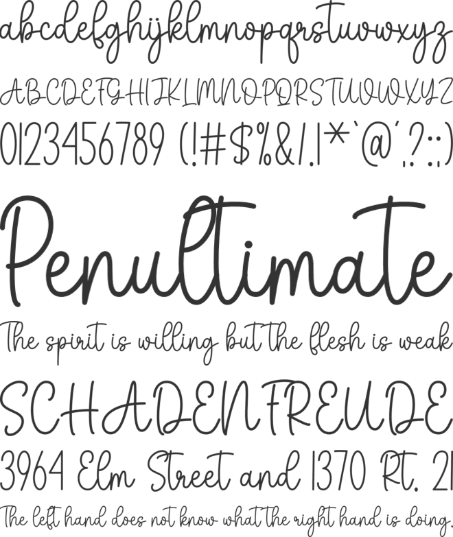 Shophia font preview