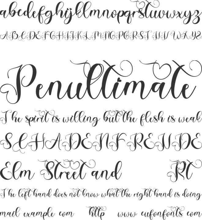 Christmas Amellia font preview