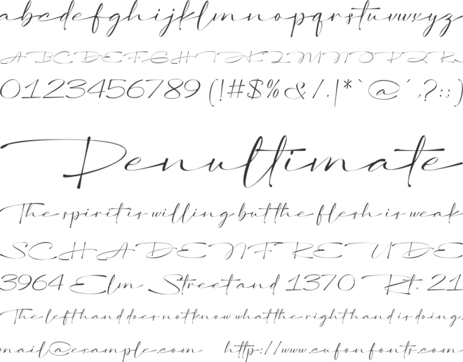 Purelines font preview