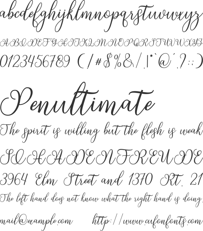 Delhi Script font preview