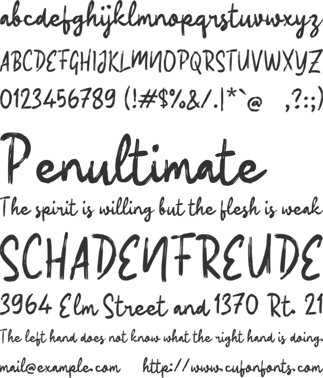 Qallone Script font preview