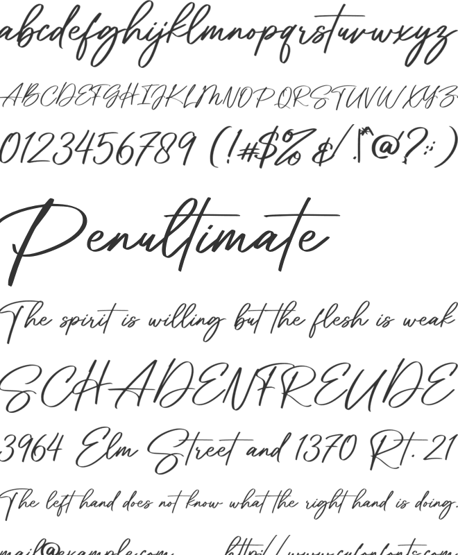 Fatmine Signature font preview