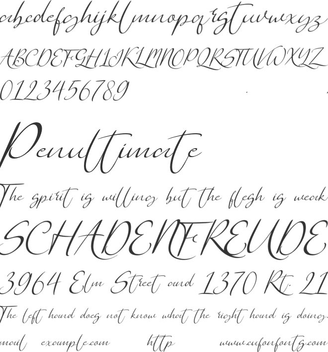 Daylight Welington font preview