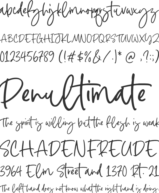 Austone Winter font preview