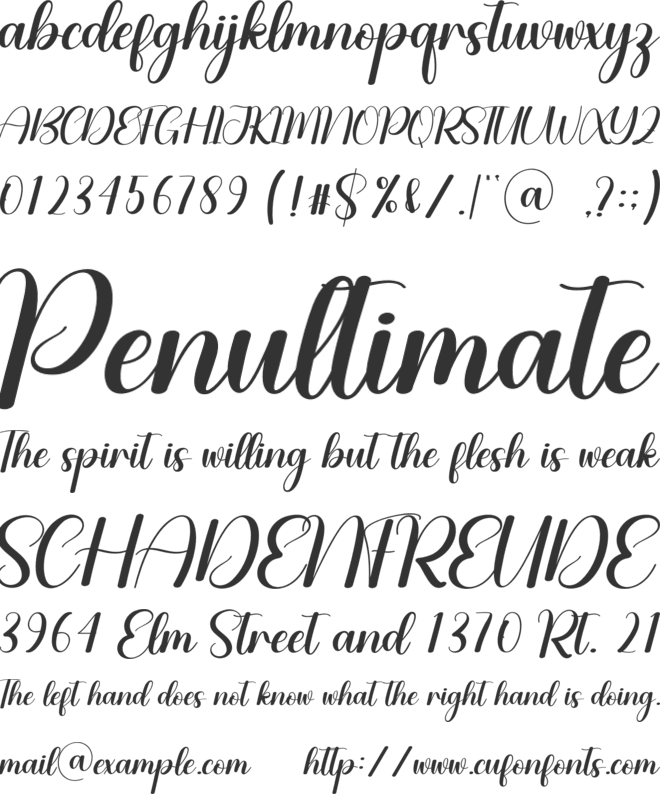 Christmas Shawl font preview