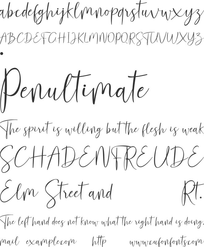 Shandora font preview