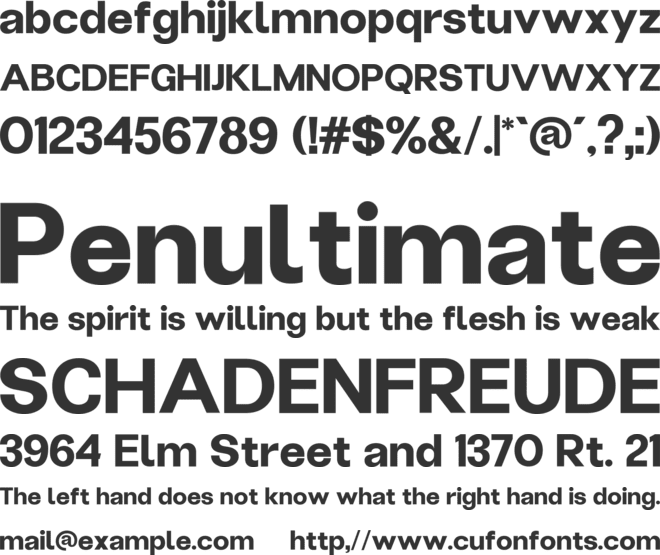 Shinier Personal Use Only font preview