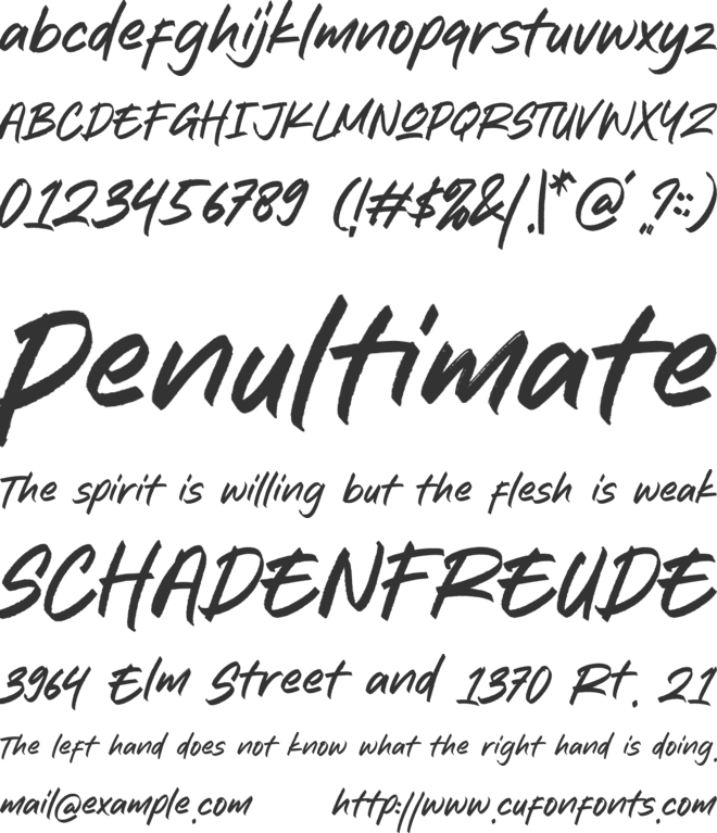 Publicity Brush font preview