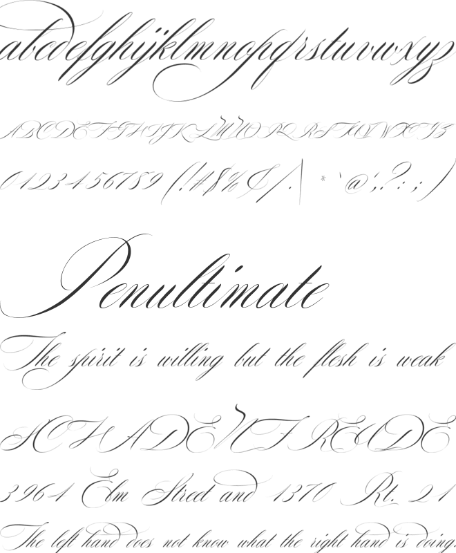 Cloude Calligraphy font preview