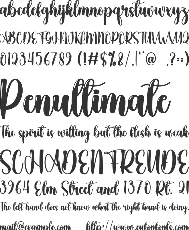 Smarting Designer font preview