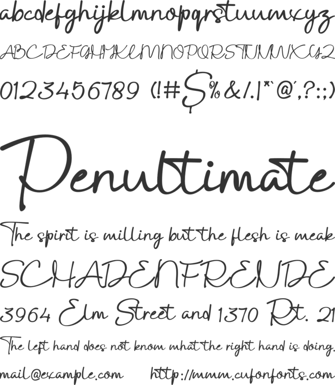 Ditaqish Signature font preview