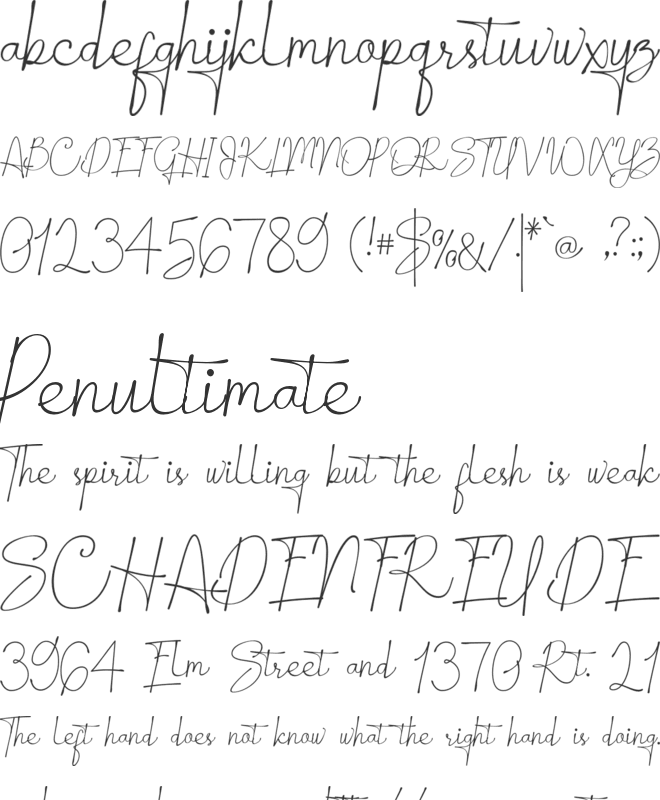 Saloma Signature font preview