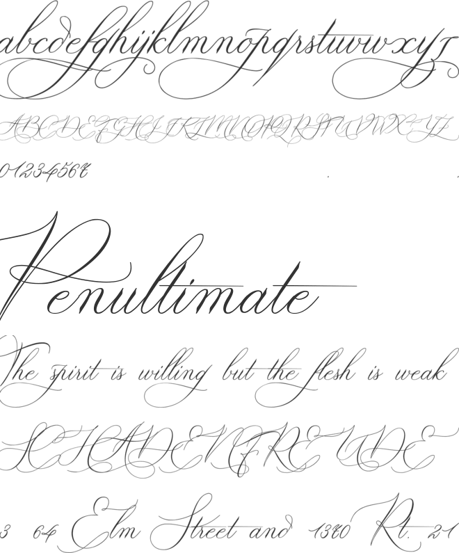 Sandrina Calligraphy font preview