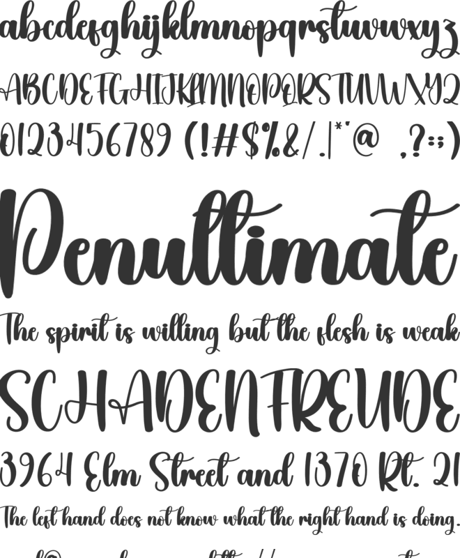 Anatomy font preview