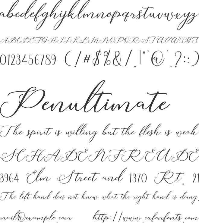 Larrisha Script font preview