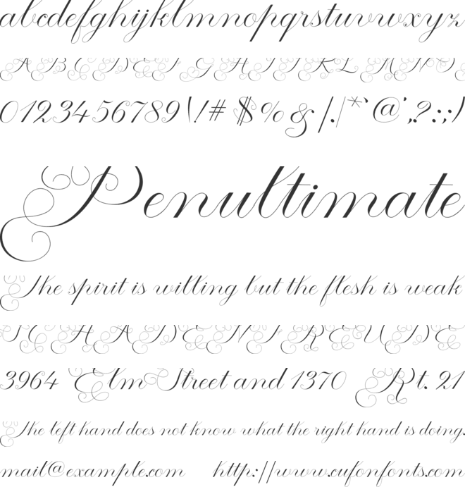 Manhattan Calligraphy font preview