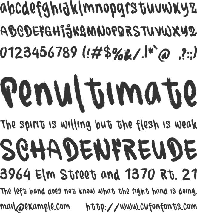 Bitreco font preview