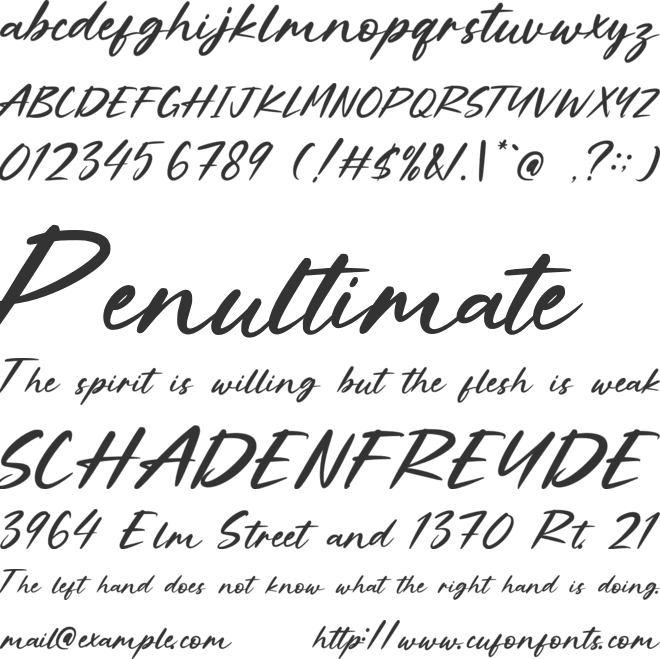 Plantyeus font preview