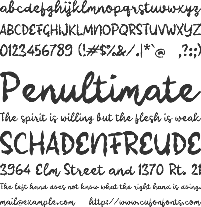 Raenak font preview