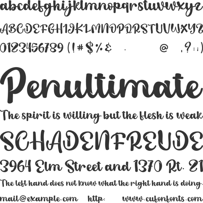 Flower Xmas - Personal Use font preview