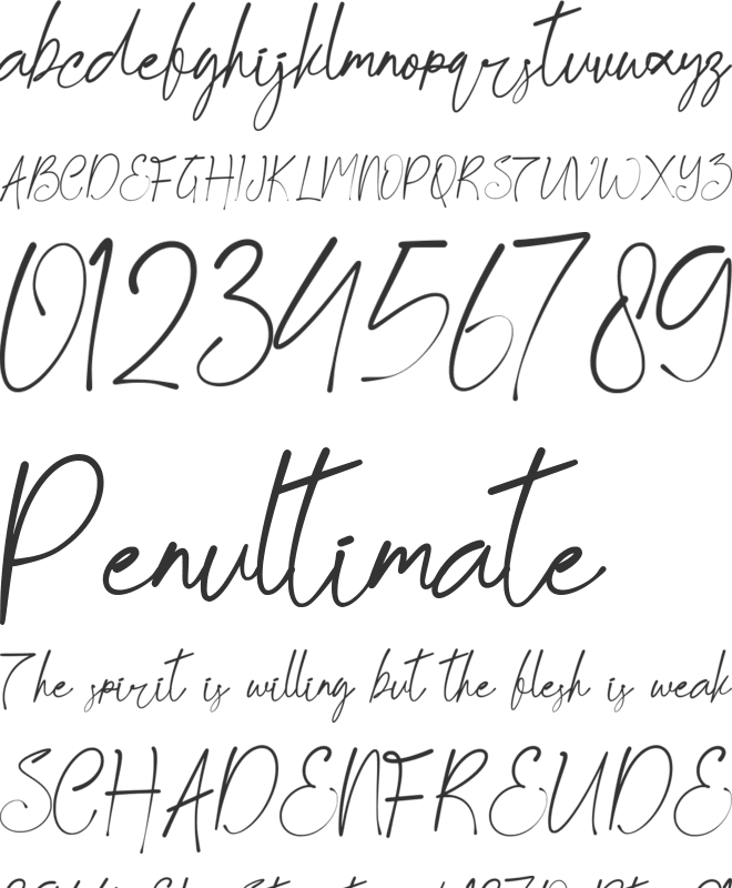 Boutique Chello font preview