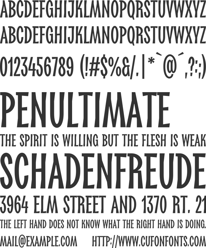 TT Biersal Trial font preview