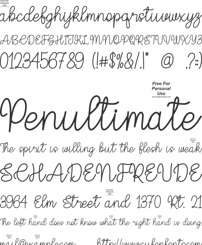 Rasbery Swetnes font preview