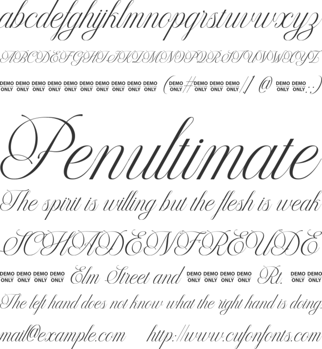 Kaelyna Script font preview