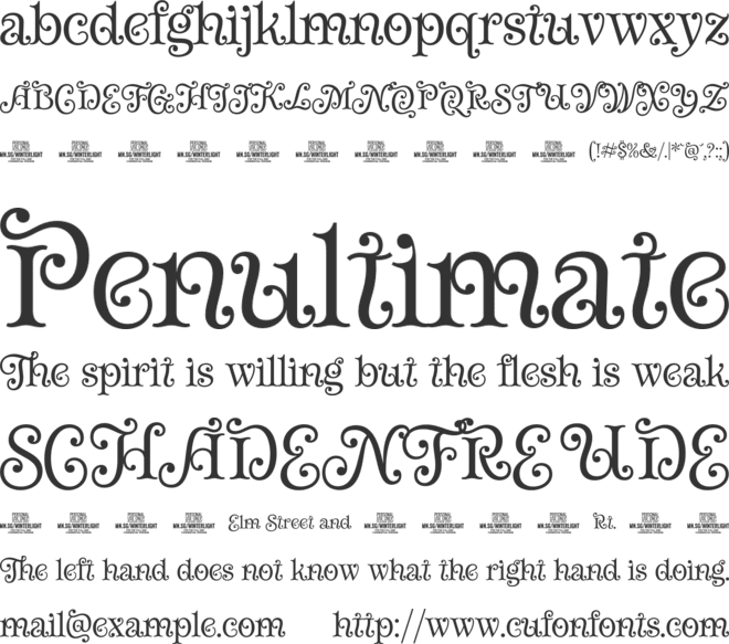 Winterlight Season PERSONAL font preview