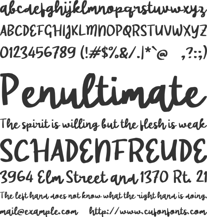 Radya Brush font preview