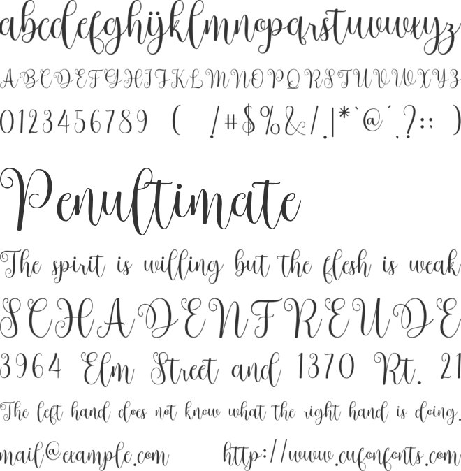 Bostek font preview