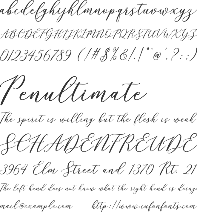 Rilland Script font preview