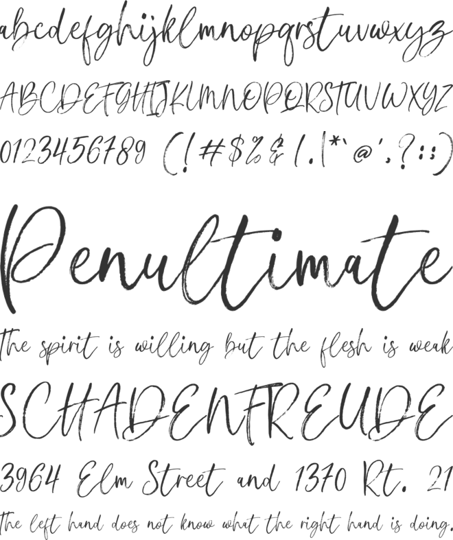 Platinum font preview