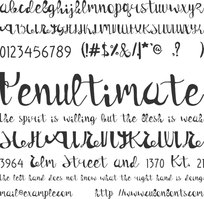 Genius font preview